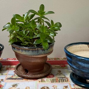 Mare added a photo of their purchase