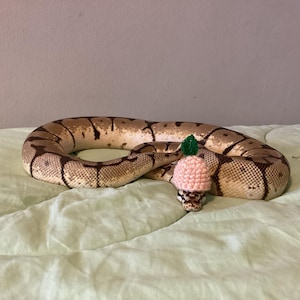 Luna added a photo of their purchase