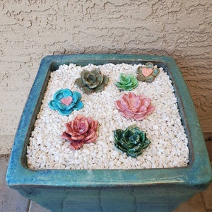 Noel added a photo of their purchase