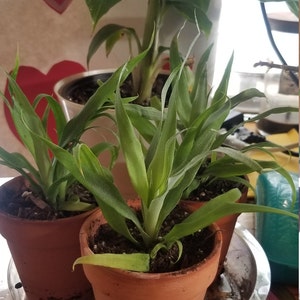 Renee added a photo of their purchase