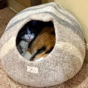 Amanda added a photo of their purchase