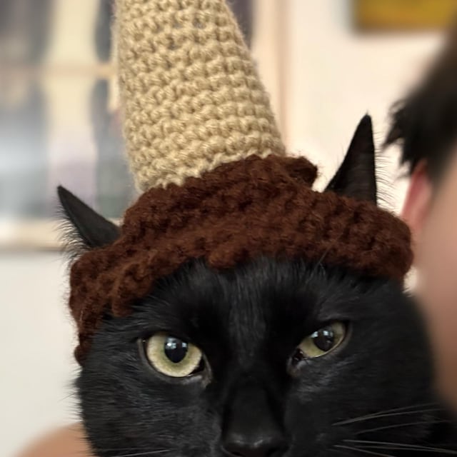 コンビニ支払い❌andwang Fluffy cat knit hat Cat Hipster Beanie – Friday Knits