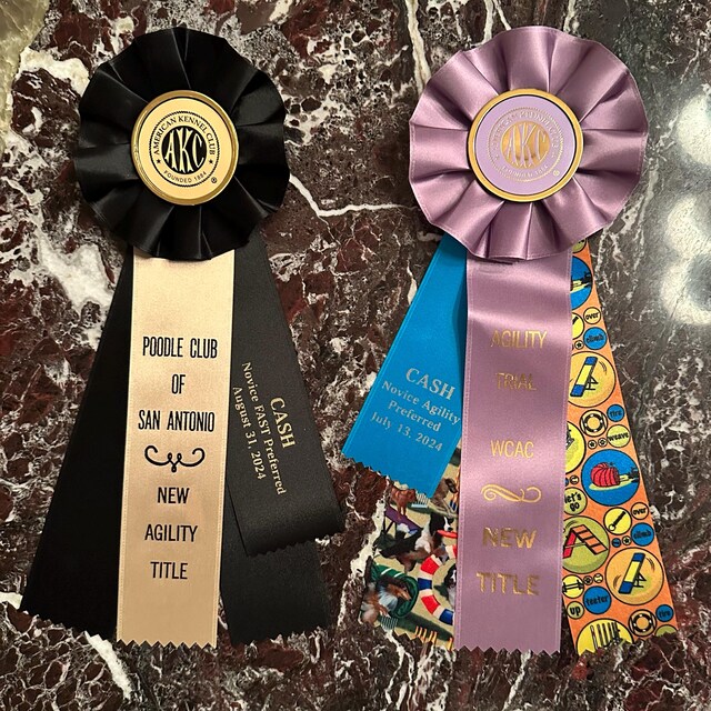 RibbonsNow A-B Honor Roll Award Ribbons - 25 Red Ribbons With Gold Printing & Cards