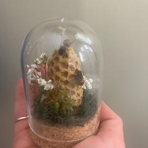 Kathleen added a photo of their purchase