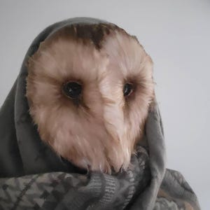 Micah added a photo of their purchase