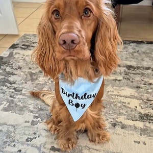 Coral added a photo of their purchase