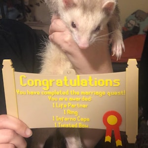 Andrea added a photo of their purchase