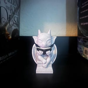 Allison added a photo of their purchase