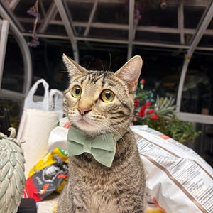 Gialinh added a photo of their purchase