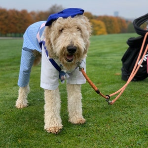 Dog Costume Dog Golfer Costume Halloween Dog Costume Dog 