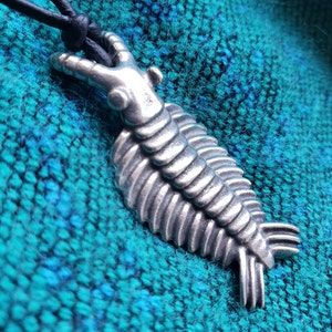 Madame added a photo of their purchase