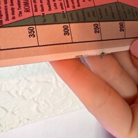 The Original Dirty Nelly Brand Vintage Pinup Girl Liquor Poster