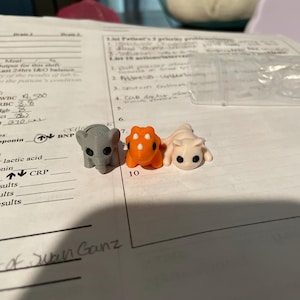 meagan ha añadido una foto de su compra