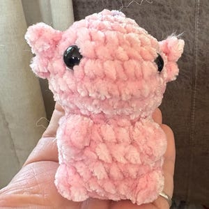 Tracy added a photo of their purchase