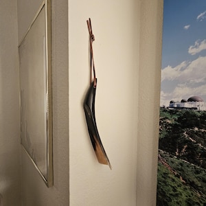 Daniel added a photo of their purchase