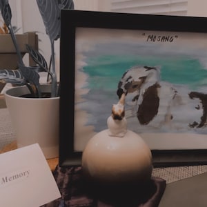 Genvy added a photo of their purchase
