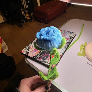Ana added a photo of their purchase