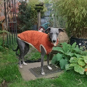 Simon added a photo of their purchase