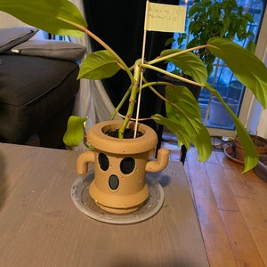Maxine added a photo of their purchase