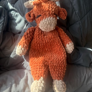 Ally added a photo of their purchase