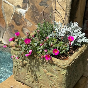 LISA added a photo of their purchase