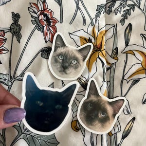 Jenni added a photo of their purchase
