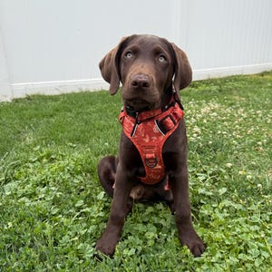 Katie added a photo of their purchase