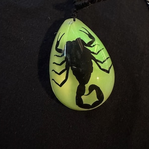 rasputin added a photo of their purchase