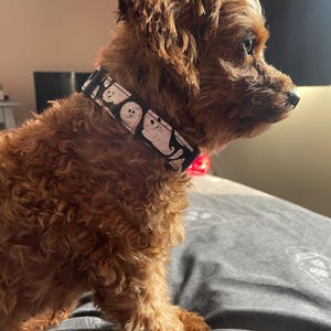 Hannah added a photo of their purchase