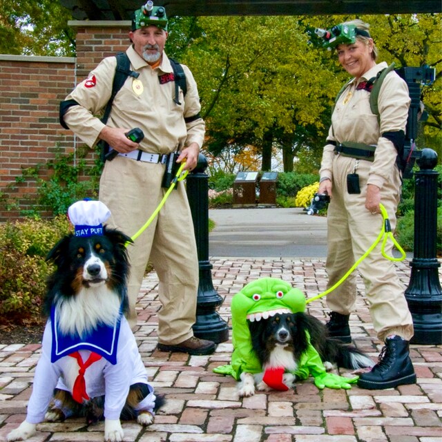 Stay Puft Dog Costume sailor Dog Costume Etsy
