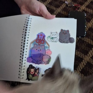 Drew added a photo of their purchase