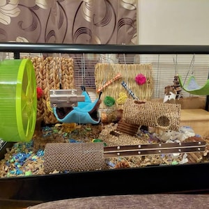 Carol added a photo of their purchase