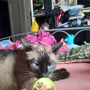 Pinky a ajouté une photo de son achat
