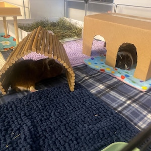 kira added a photo of their purchase