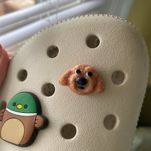 Chloe added a photo of their purchase