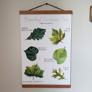 A. added a photo of their purchase
