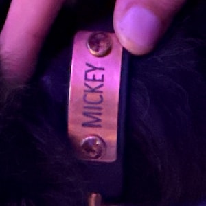 Lissi added a photo of their purchase