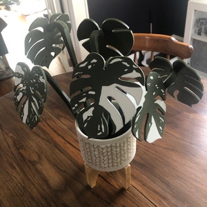 Lindsay added a photo of their purchase