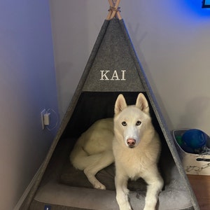 Alex added a photo of their purchase