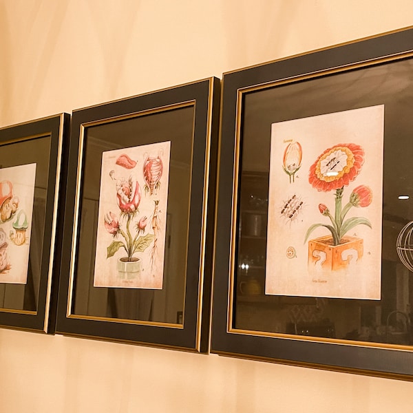 SET of 3 - Super Mario Botanical Illustration 8.5