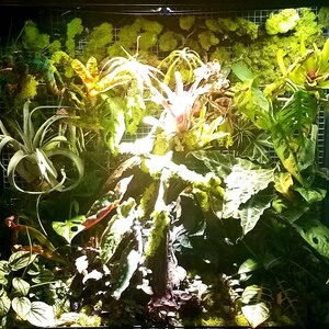 Matthew さんが購入した商品の写真を追加しました