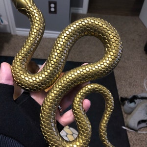Rachel added a photo of their purchase