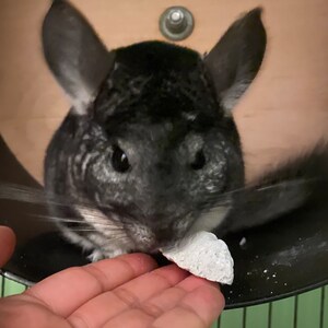 bunny added a photo of their purchase