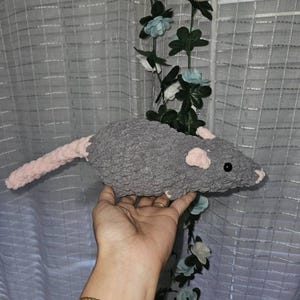 Rosa added a photo of their purchase