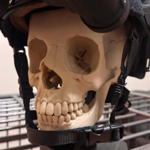 Chaplain ha aggiunto una foto del proprio acquisto