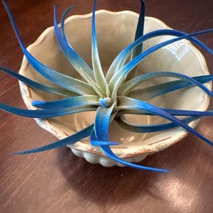 Lori added a photo of their purchase