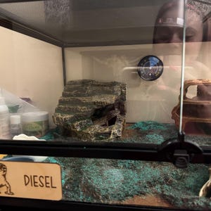 Kiley added a photo of their purchase