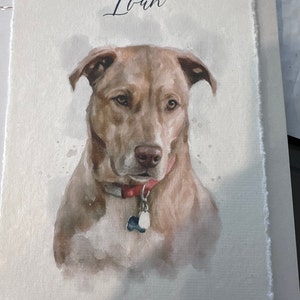 Jenn added a photo of their purchase