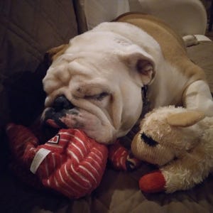 Carolyn added a photo of their purchase
