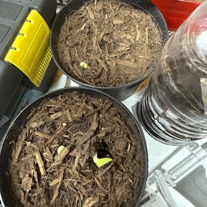 Rodrigo ha añadido una foto de su compra